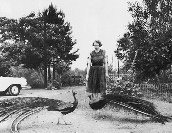 flanneryoconnor-2_1409476362_crop_550x425